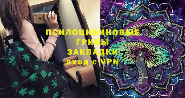 ГАЛЛЮЦИНОГЕННЫЕ ГРИБЫ Абинск