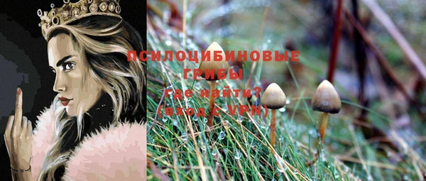 кокс Абдулино