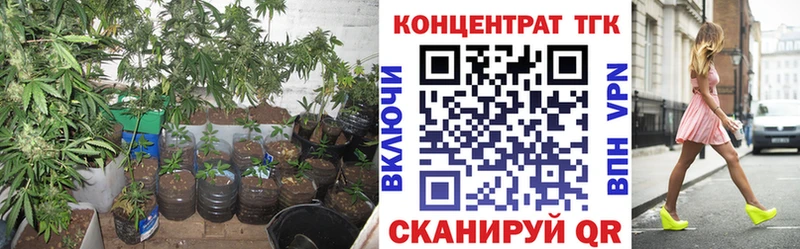 ТГК концентрат  Новотитаровская 